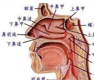 唱歌的技巧和窍门