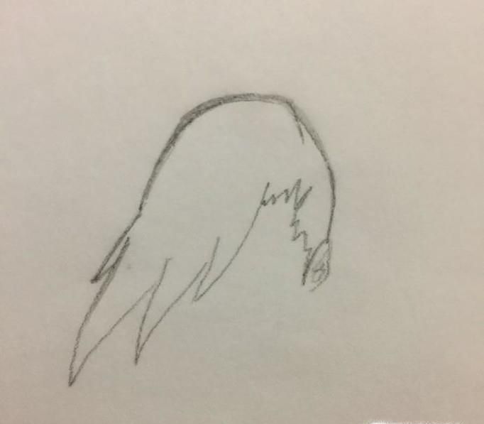 如何画井野?