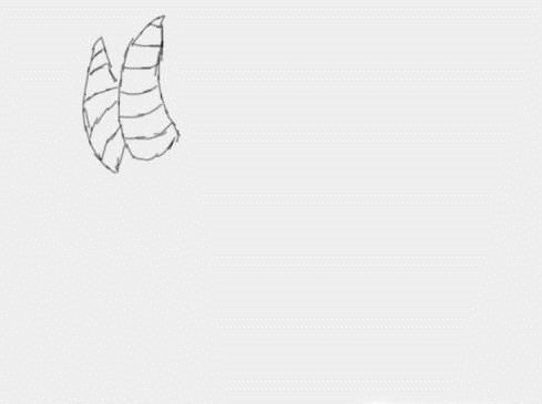 儿童简笔画：山羊