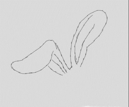 儿童学画小动物：小兔子