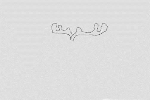 怎么画驯鹿简笔画步骤图
