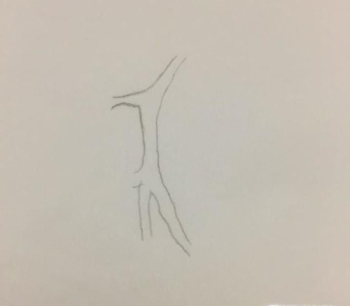 色彩单体训练——西红柿的画法