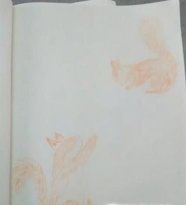 怎么用彩铅画松鼠