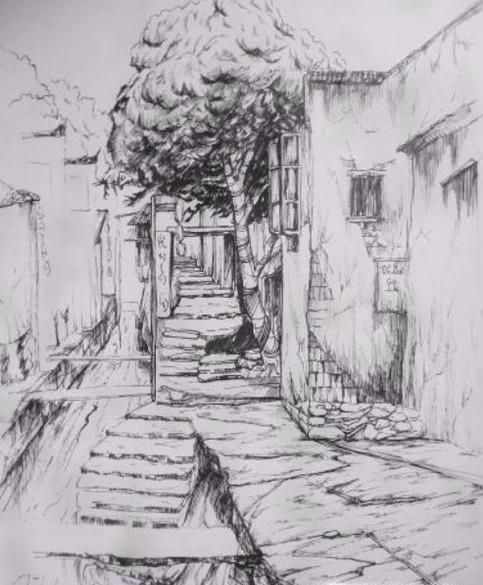 如何画素描静物