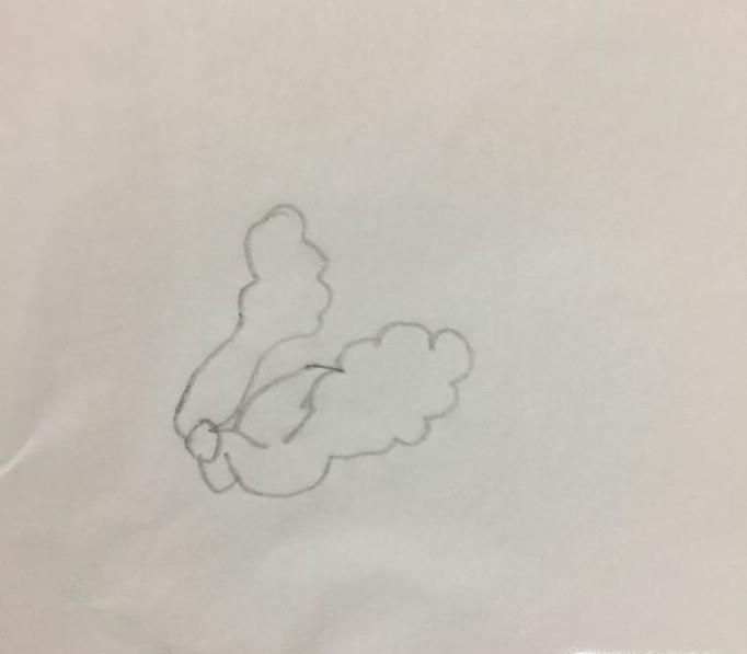 画简笔画：蔬菜