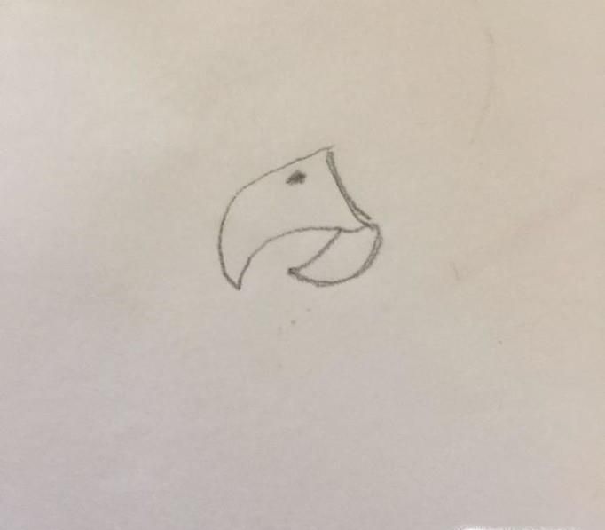 如何画火烈鸟 火烈鸟简笔画教程