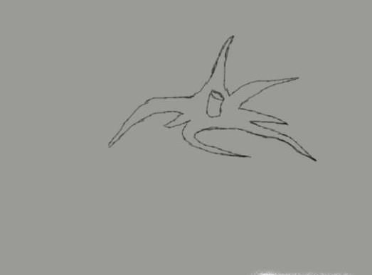 西红柿素描步骤