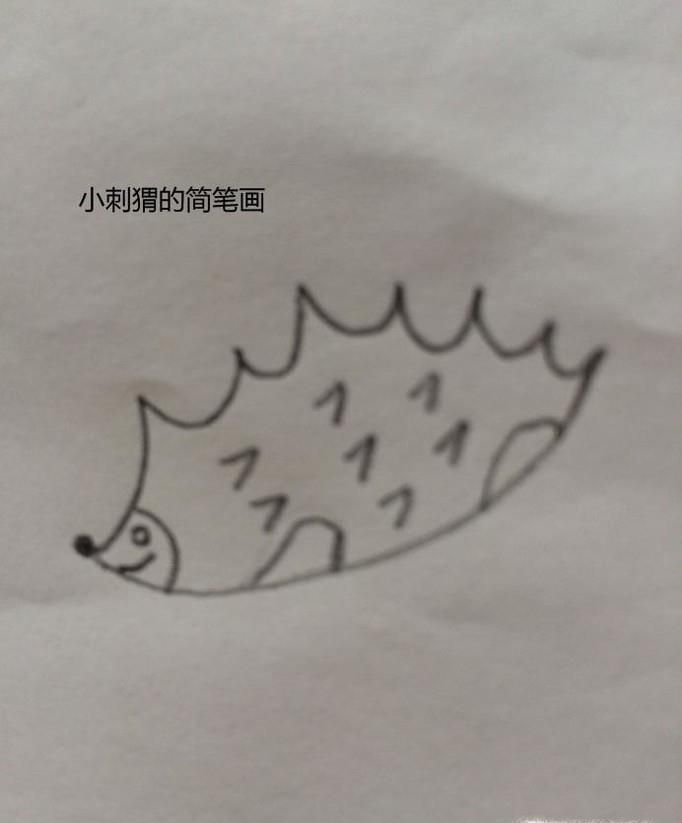 快来学画可爱的小刺猬