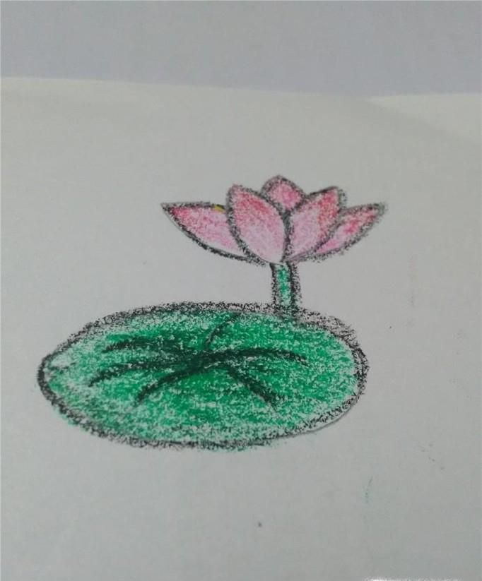 我们来学油画棒:荷花