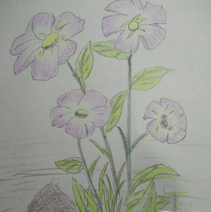 简笔画烟花的画法