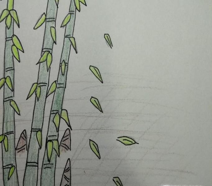 竹子和竹笋简笔画图片