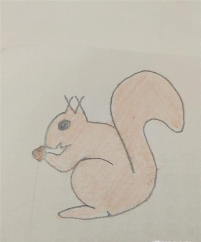 教大家画动物——小松鼠