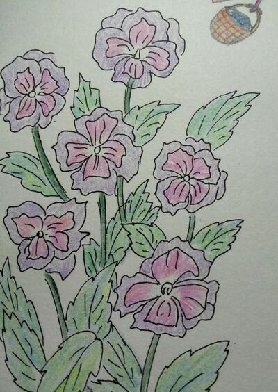 简笔画四紫苔的画法