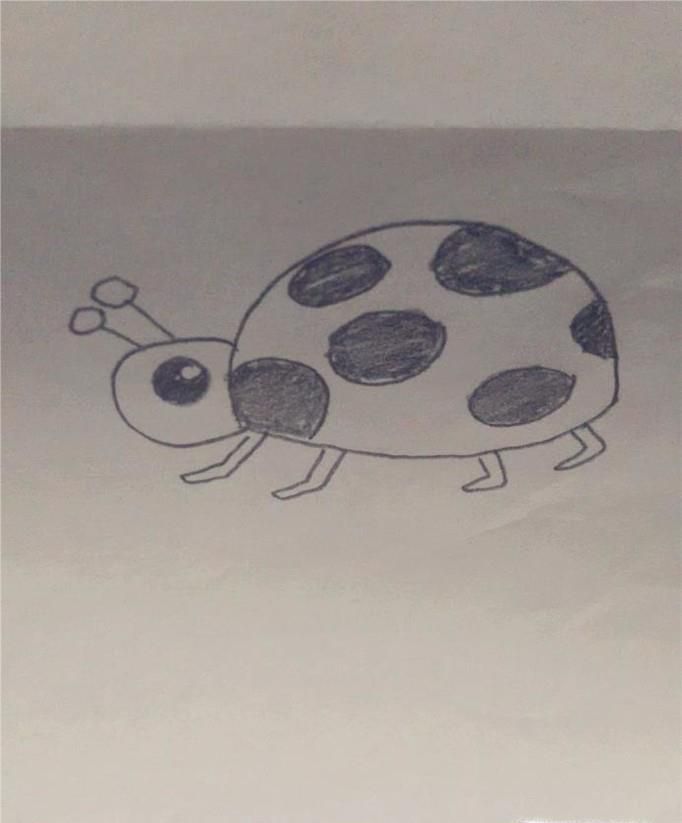 简笔画-萌萌哒金龟子