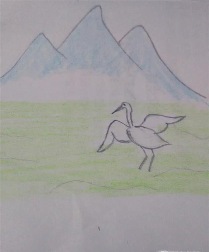 青山绿水白鹭简笔画