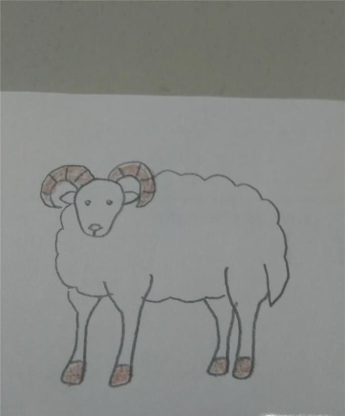 羊羊怎么画 简笔画羊的画法