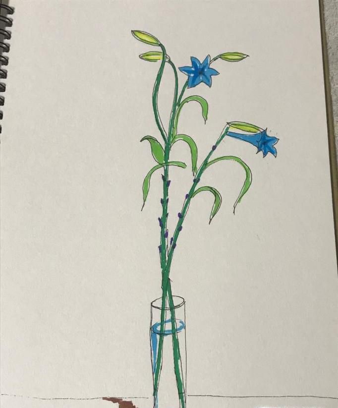 如何绘制一束插在瓶子里的花?