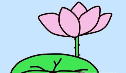 怎么简单画荷花荷叶