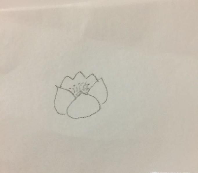 教你画带荷叶的荷花的简笔画