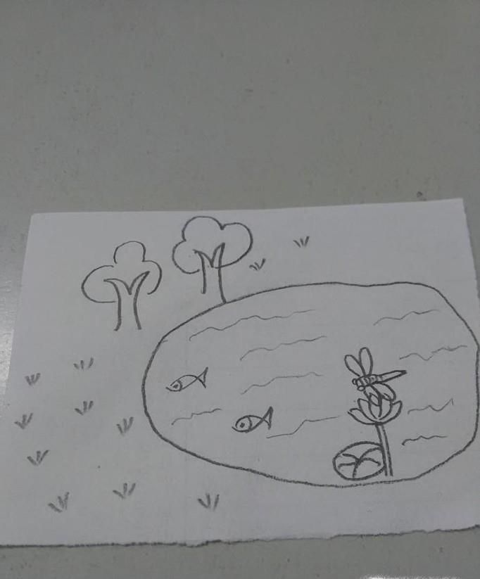 美丽的小池塘简笔画画法