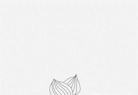 怎样简笔画水仙花