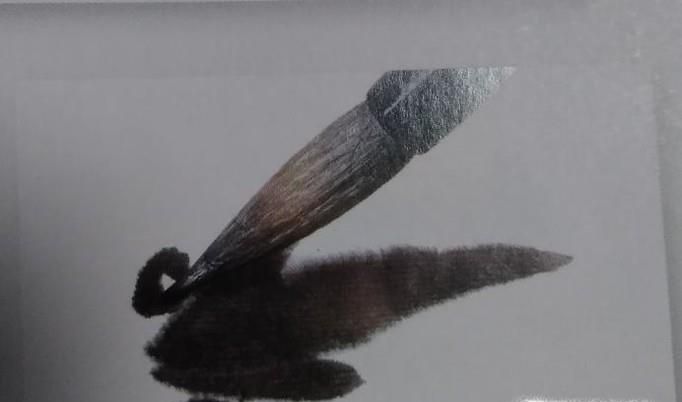 国画初学者金鱼技法