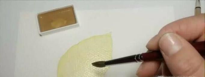 零基础水彩树叶教程指南