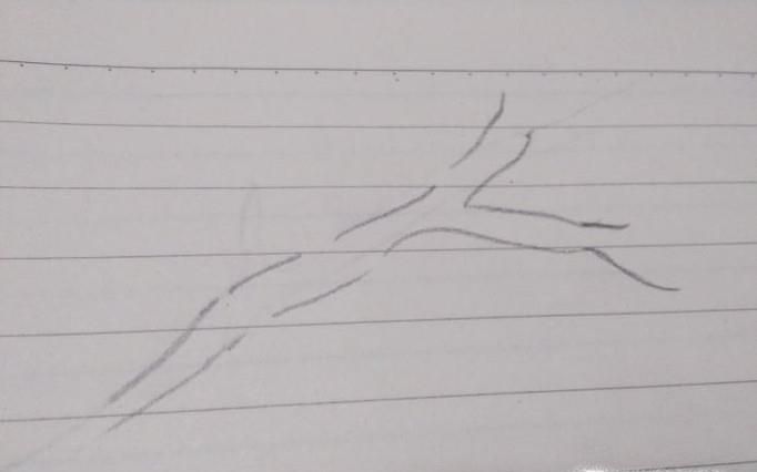 怎么手绘梅花简笔画