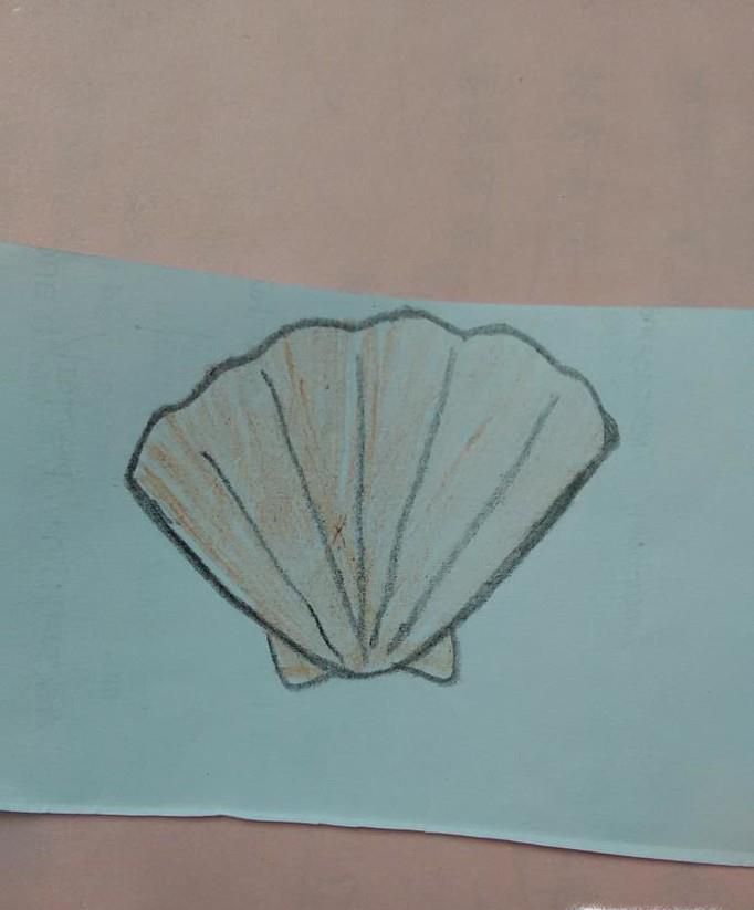 贝壳简笔画怎么画