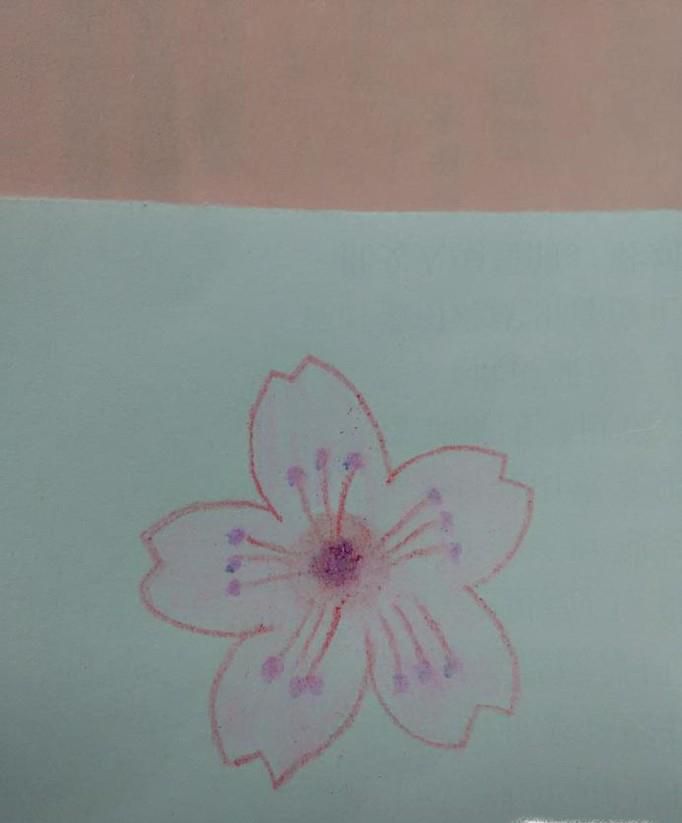 樱花简笔画怎么画