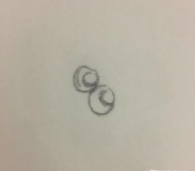 章鱼哥简笔画怎么画