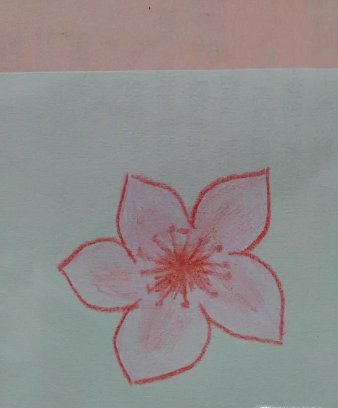 带颜色的桃花简笔画怎么画