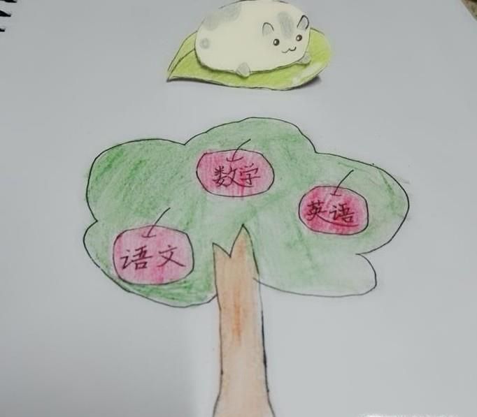 知识树怎么画