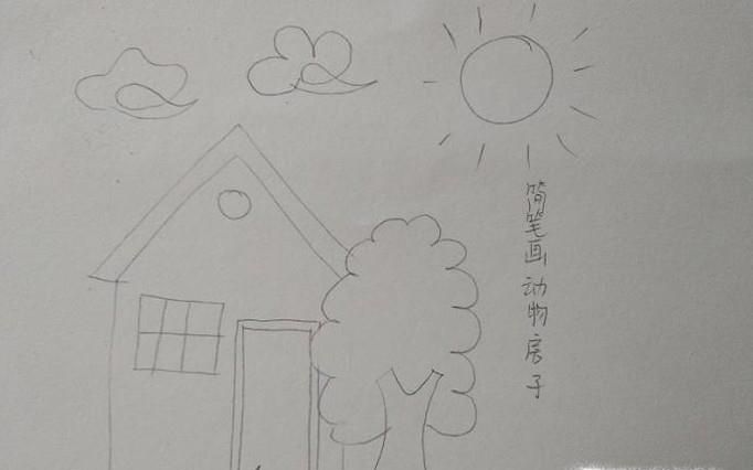 动物房子简笔画怎么画