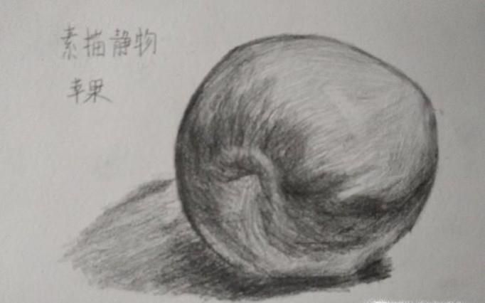 素描静物作画步骤