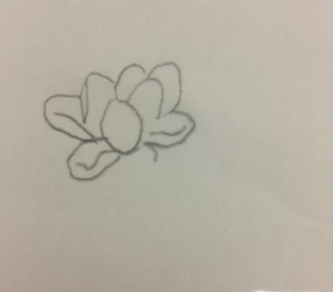 荷花池简笔画