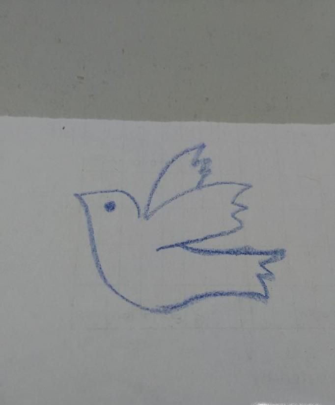 和平鸽简笔画怎么三步完成