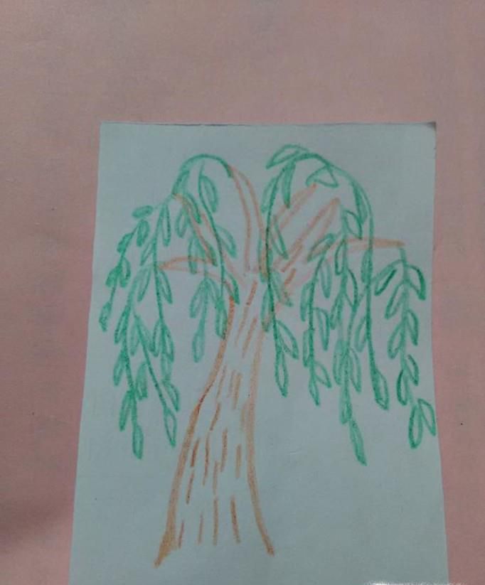 彩色柳树简笔画怎么画