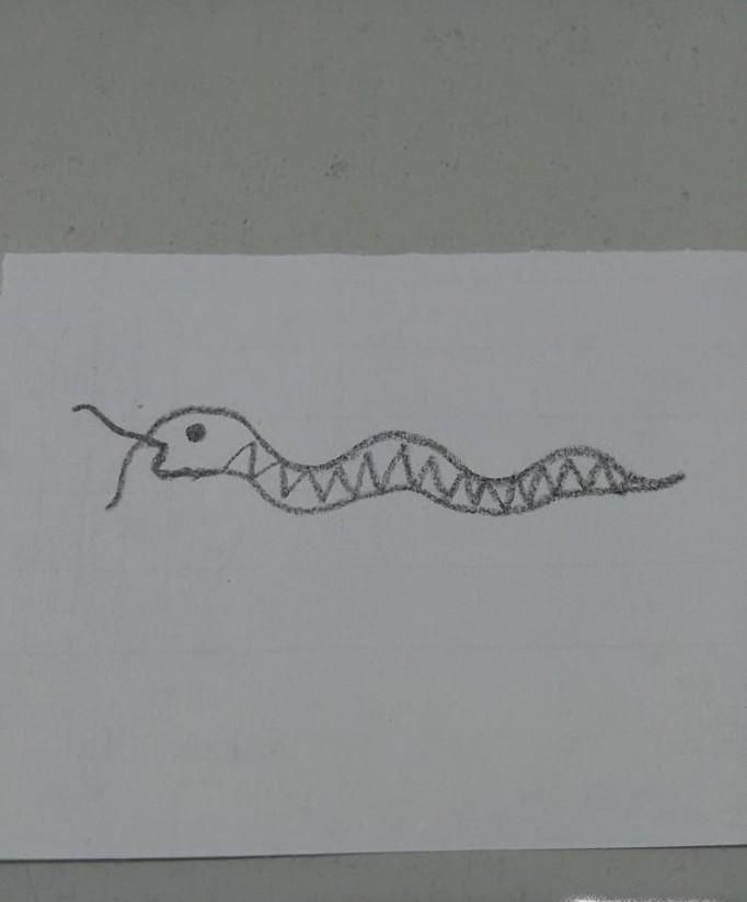 如何快速画出蛇