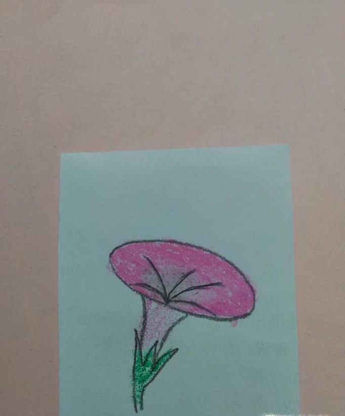 简笔画:油画棒画花朵步骤
