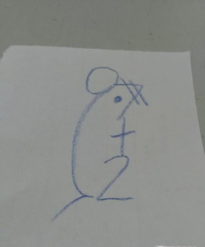 超级简单小老鼠的画法