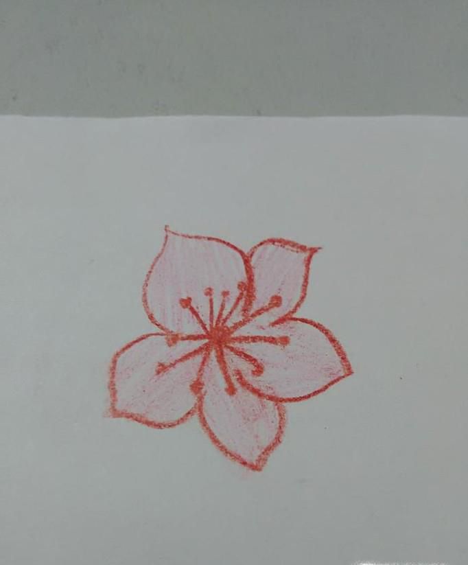 桃花花瓣的简笔画图片