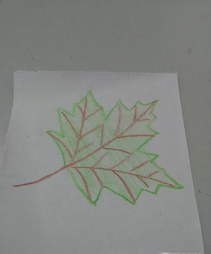 简单画好一片梧桐树叶