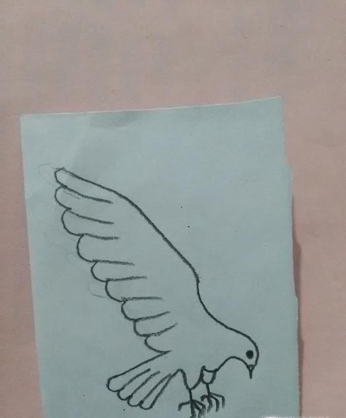 如何画一只老鹰