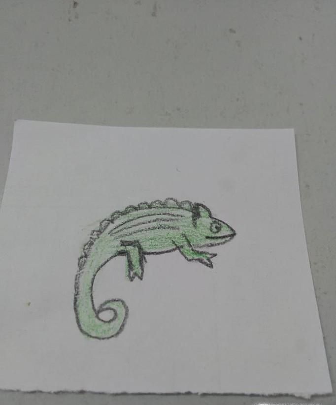简笔画变色龙是怎么画的