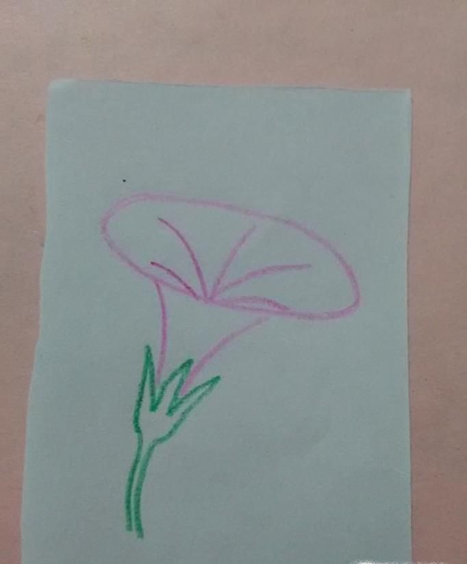 简笔画好看的花朵