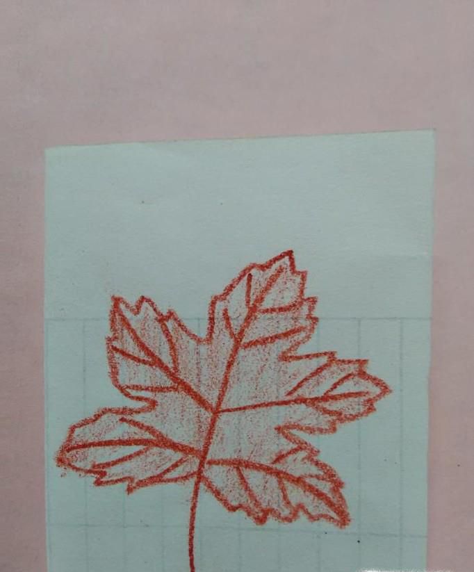简笔画枫叶怎么画