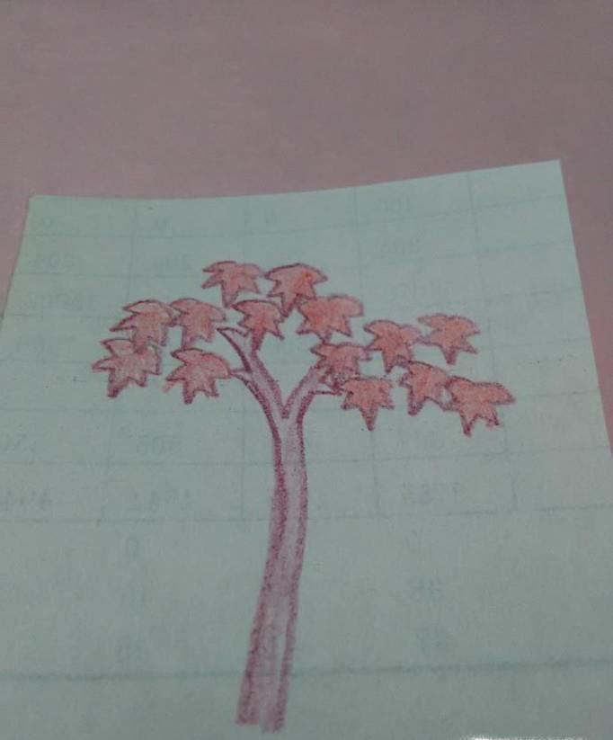 儿童简笔画小枫树的画法