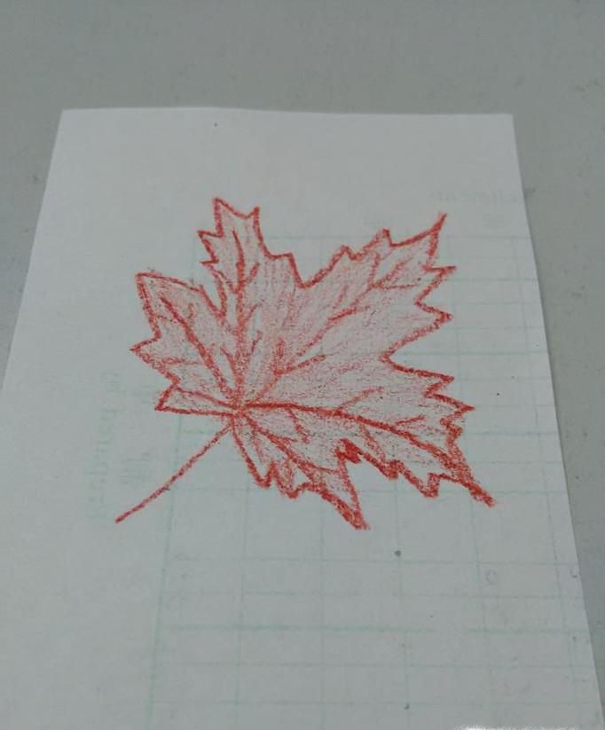 简笔画枫叶的画法