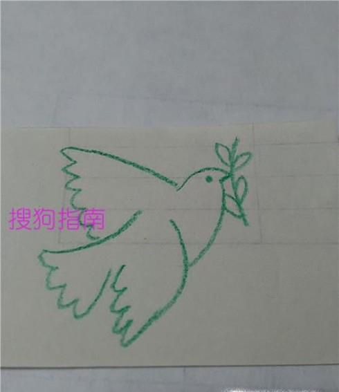 和平鸽的简笔画